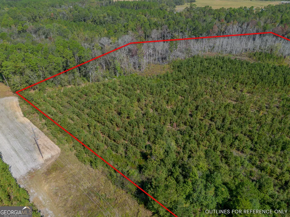 TRACT 1 Kinnett RD Jacksonville, GA 31544