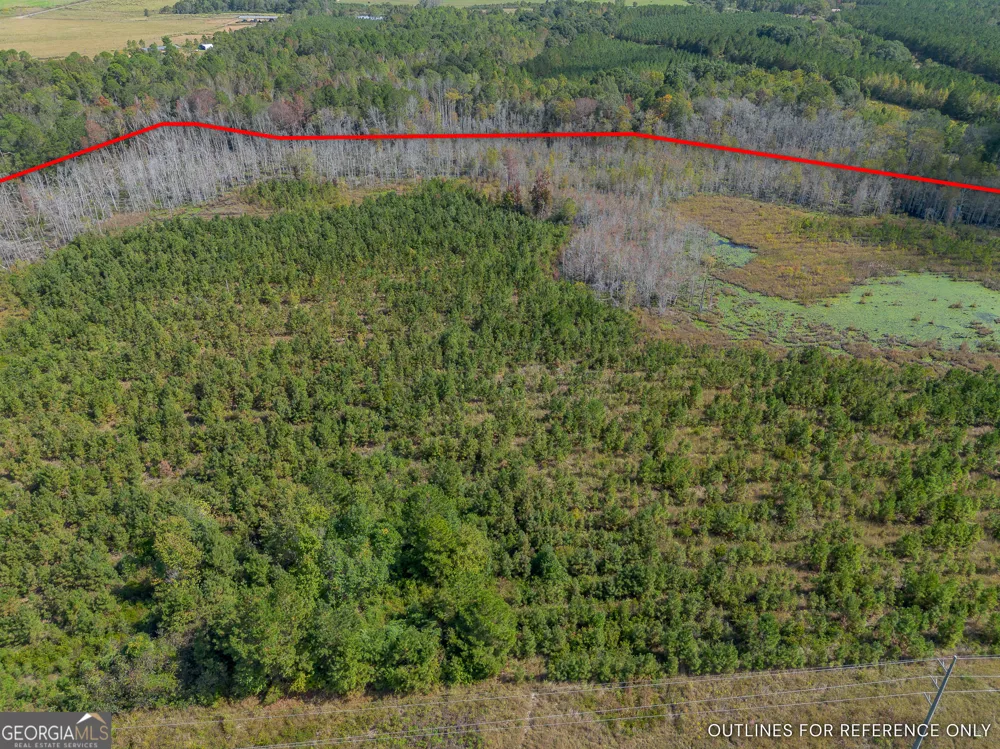 TRACT 1 Kinnett RD Jacksonville, GA 31544