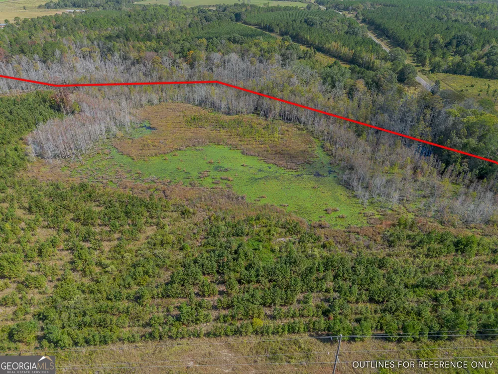 TRACT 1 Kinnett RD Jacksonville, GA 31544