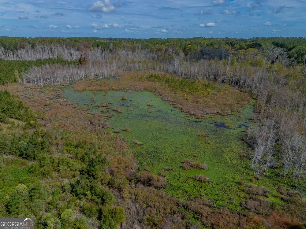TRACT 1 Kinnett RD Jacksonville, GA 31544
