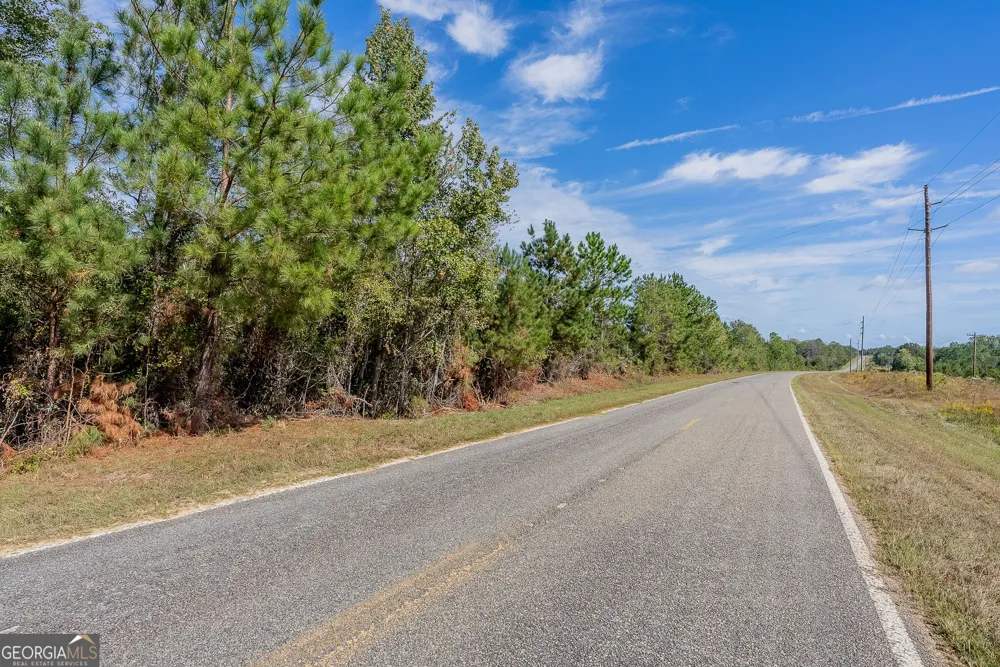 TRACT 1 Kinnett RD Jacksonville, GA 31544