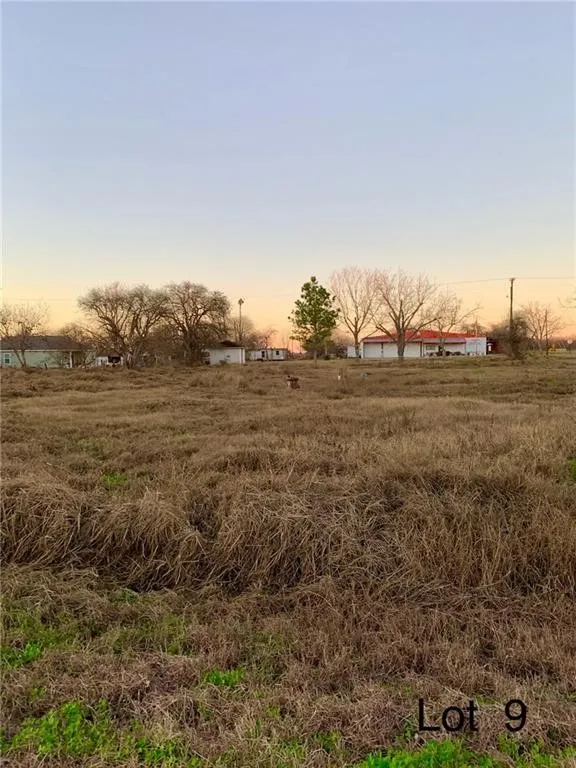 411 E. Walton St. (Lot 9) Skidmore, TX 78389