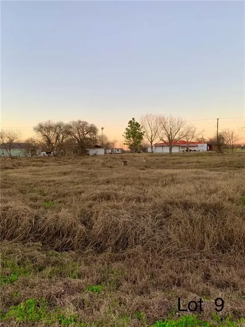 411 E. Walton St. (Lot 9)