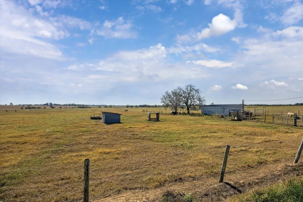 Ashorn Lane Sealy, TX 77474