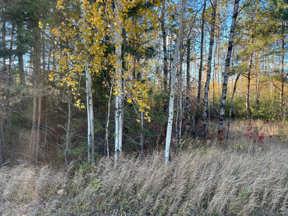 000 State Hwy 23 S. Sandstone, MN 55072