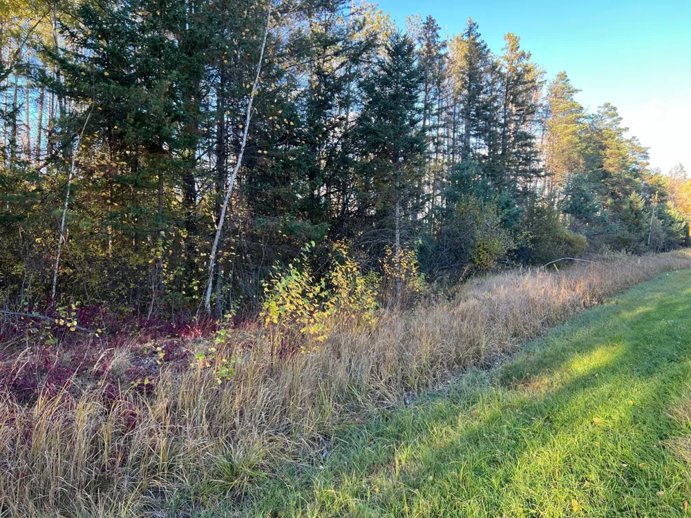 000 State Hwy 23 S. Sandstone, MN 55072