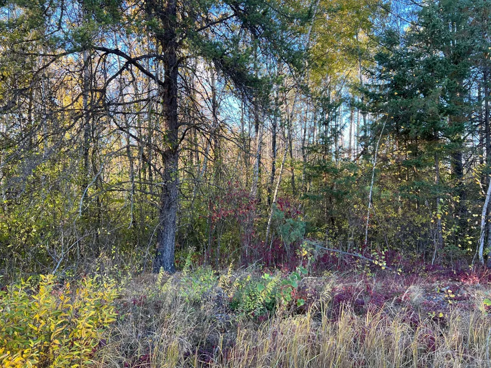 000 State Hwy 23 S. Sandstone, MN 55072