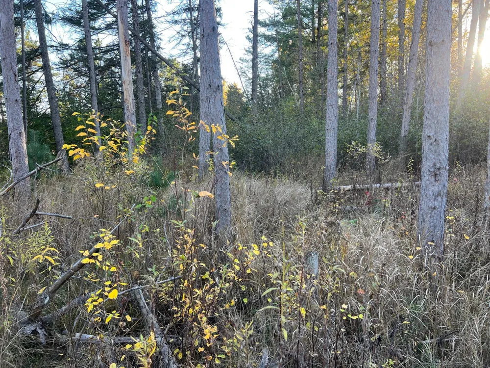 000 State Hwy 23 S. Sandstone, MN 55072
