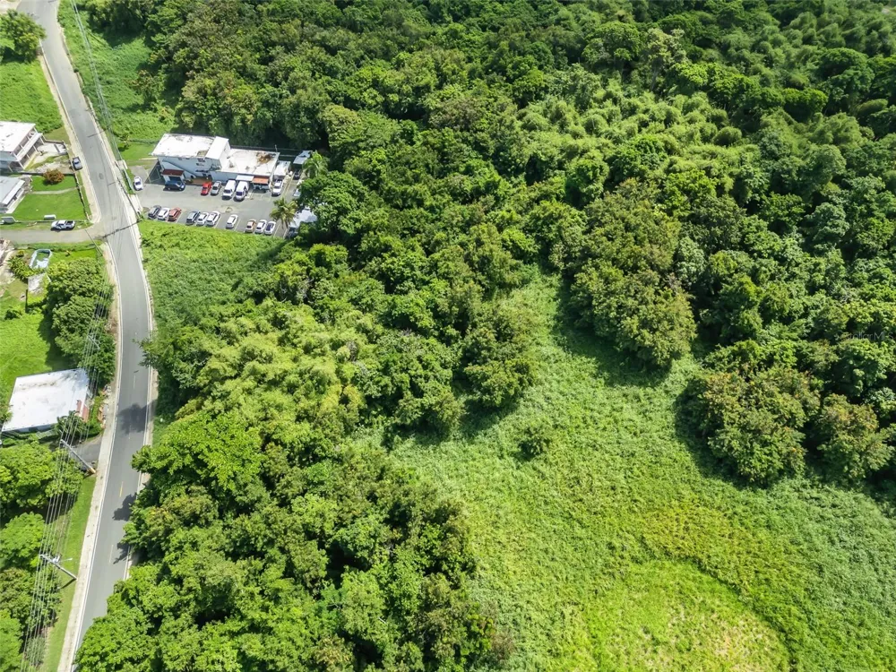 Carr. 982 Km 0.3 BO. DEMAJAGUA Fajardo, PR 00738