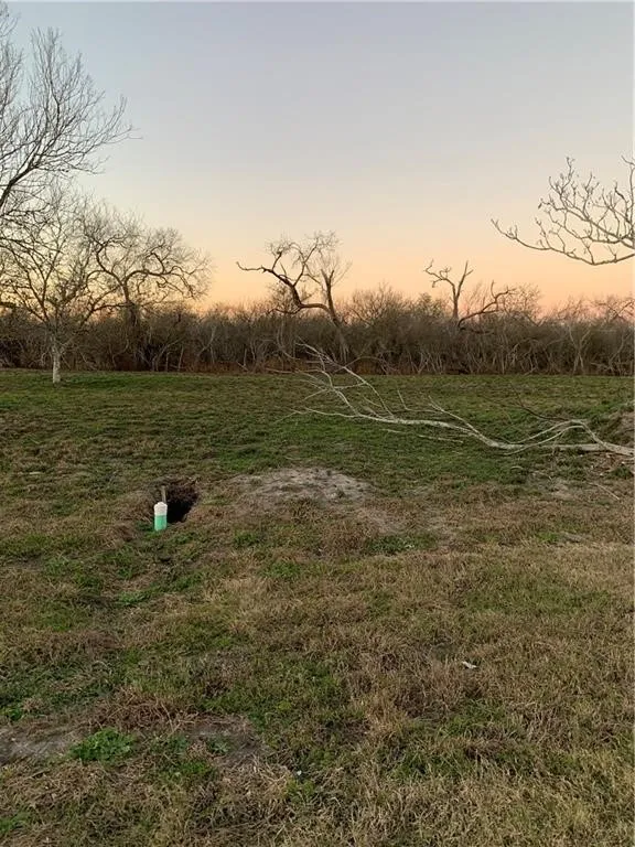 211 E St Marys Skidmore, TX 78389