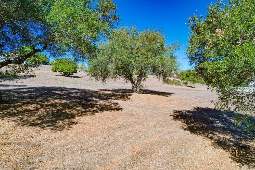 502 E Elder Street Fallbrook, CA 92028