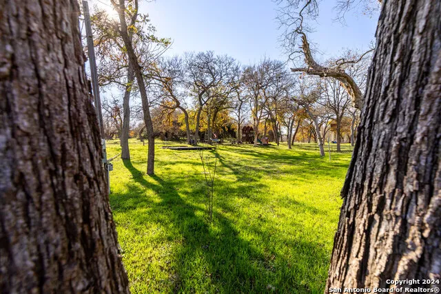 340 Deer Slayer Seguin, TX 78155
