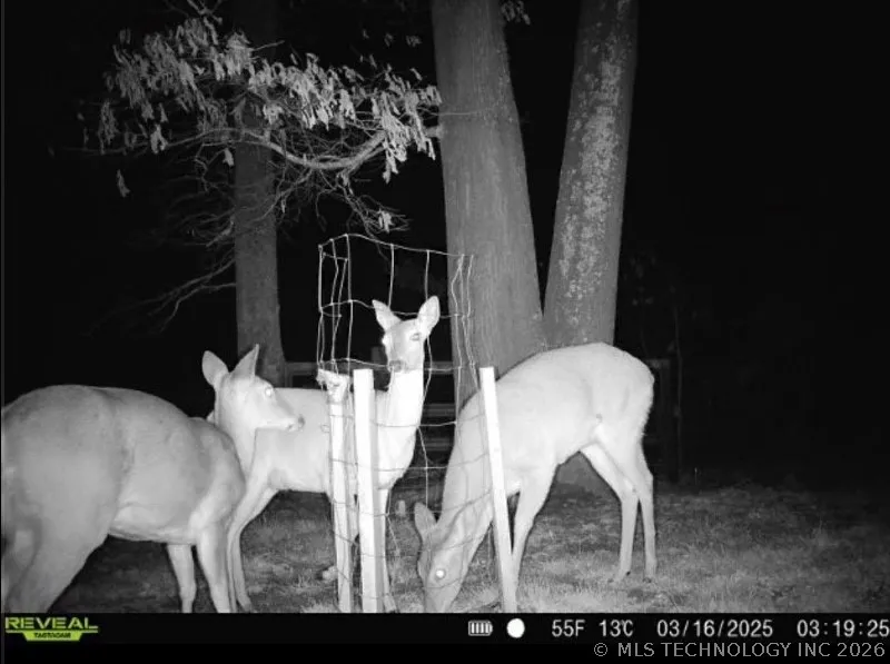 107794 S 4540 Vian, OK 74962