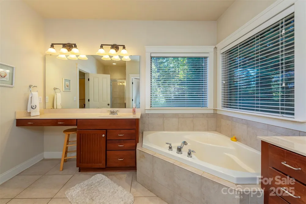 4 Yellow Owl Court Biltmore Lake, NC 28715