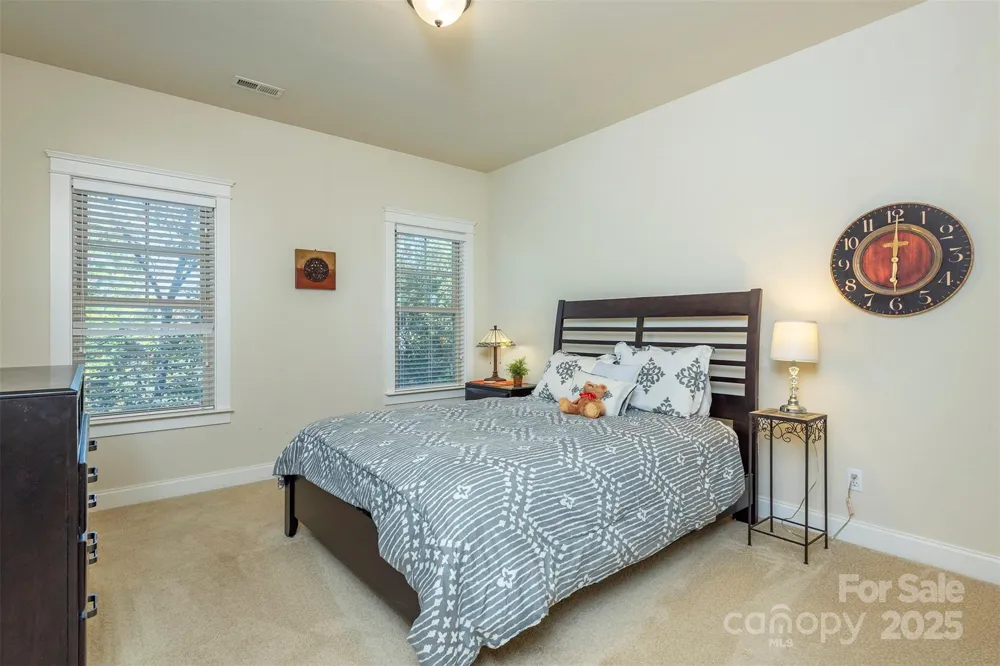 4 Yellow Owl Court Biltmore Lake, NC 28715