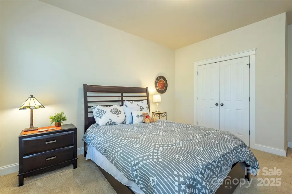 4 Yellow Owl Court Biltmore Lake, NC 28715