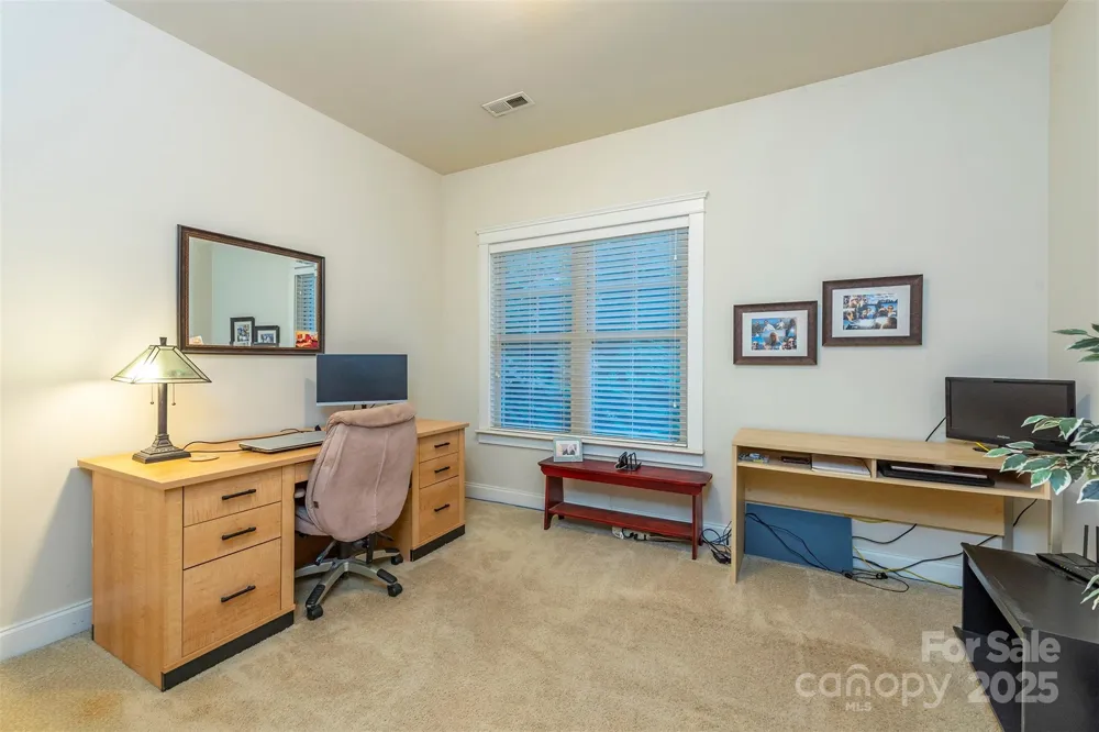 4 Yellow Owl Court Biltmore Lake, NC 28715