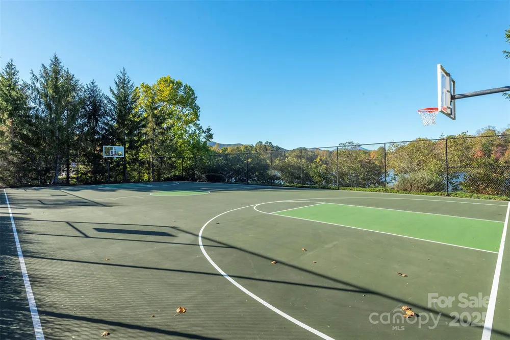 4 Yellow Owl Court Biltmore Lake, NC 28715
