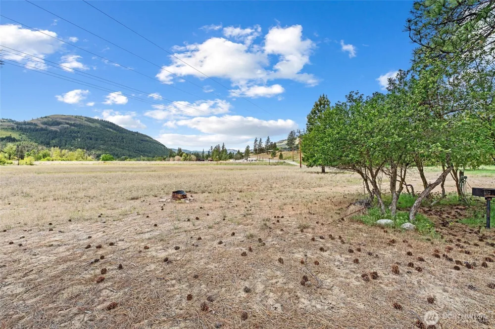 0 TBD Hwy 21 N Curlew, WA 99118