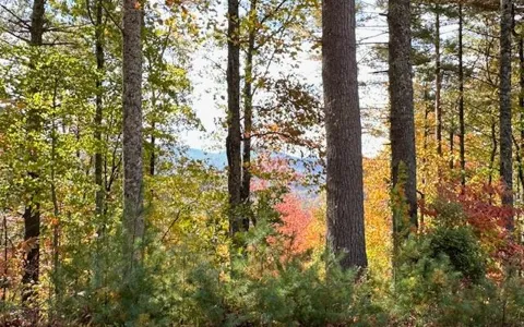 Lt 56,57 Hemlock Heights