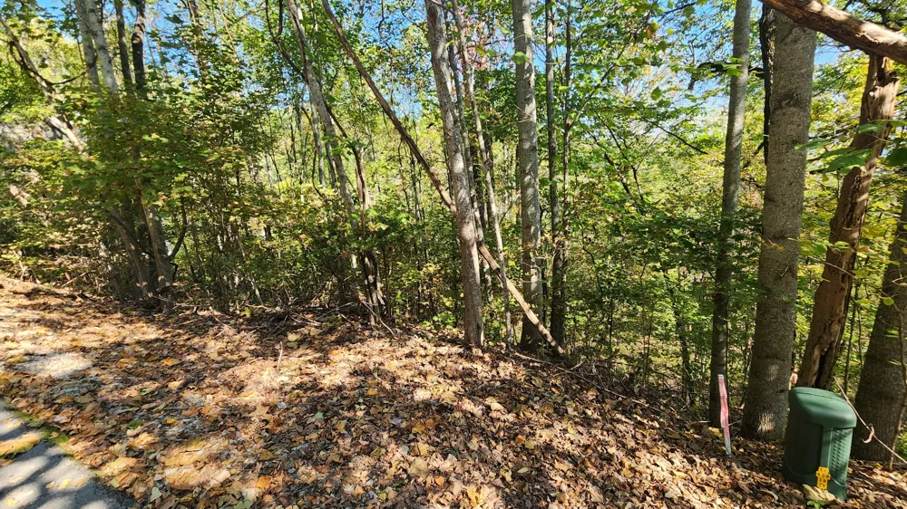 0 Bay View Dr Lancaster, TN 38569