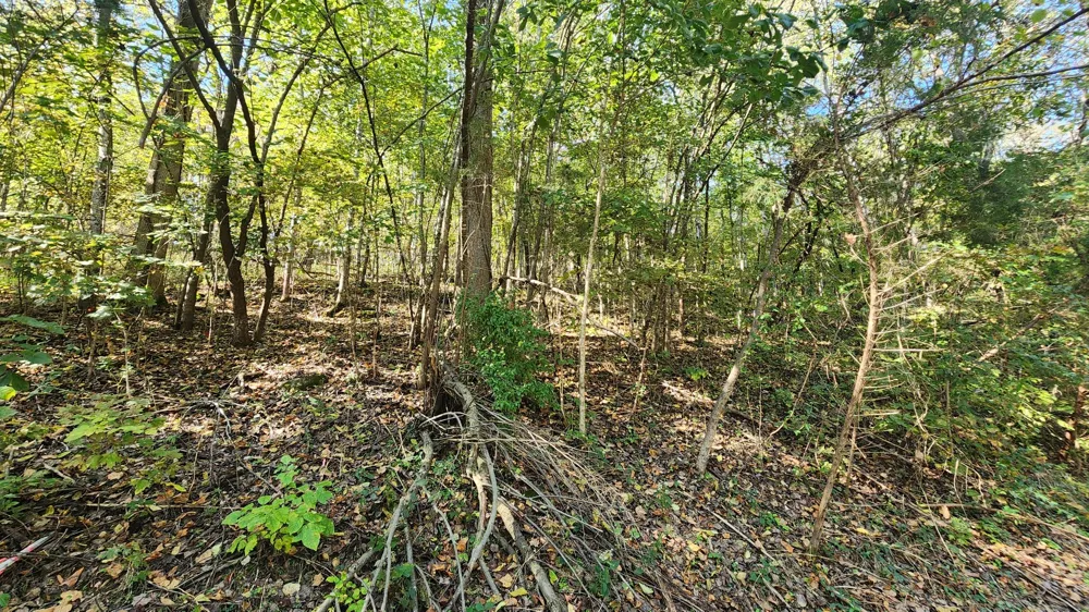 0 Bay View Dr Lancaster, TN 38569