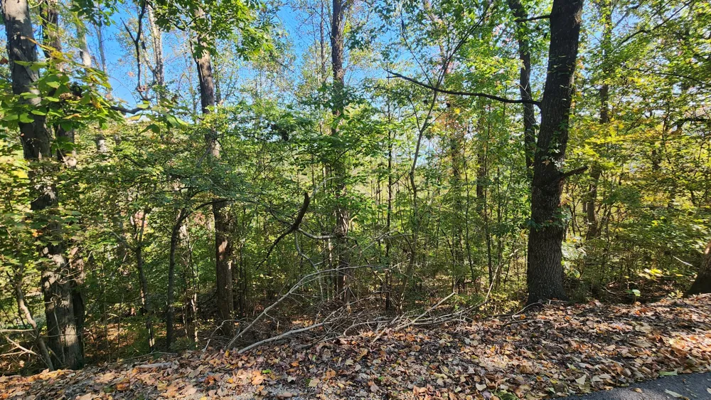 0 Bay View Dr Lancaster, TN 38569
