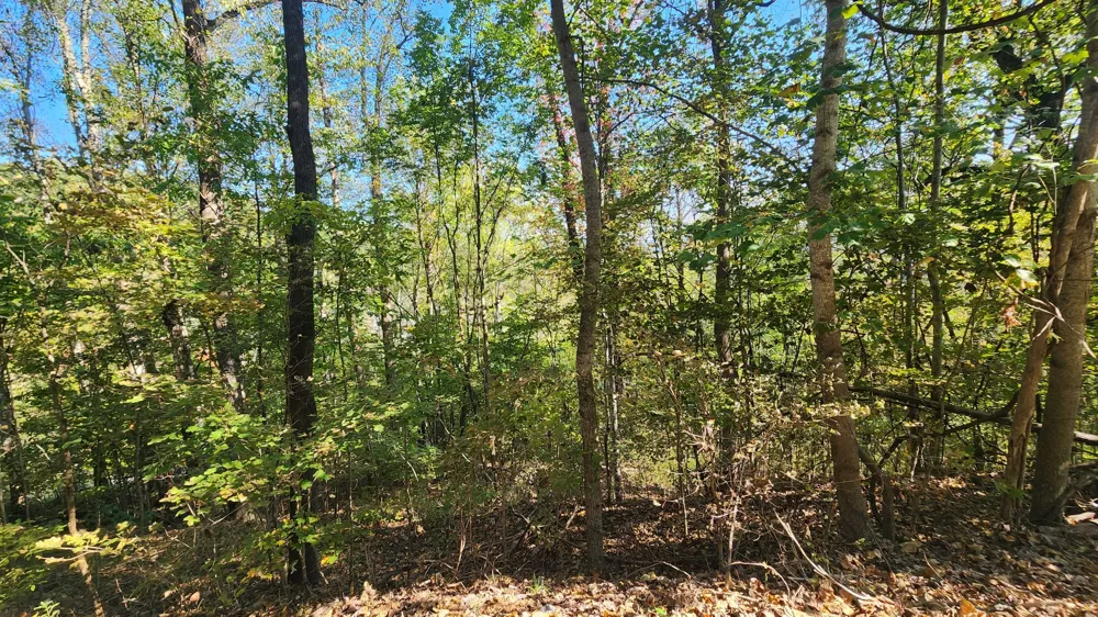 0 Bay View Dr Lancaster, TN 38569