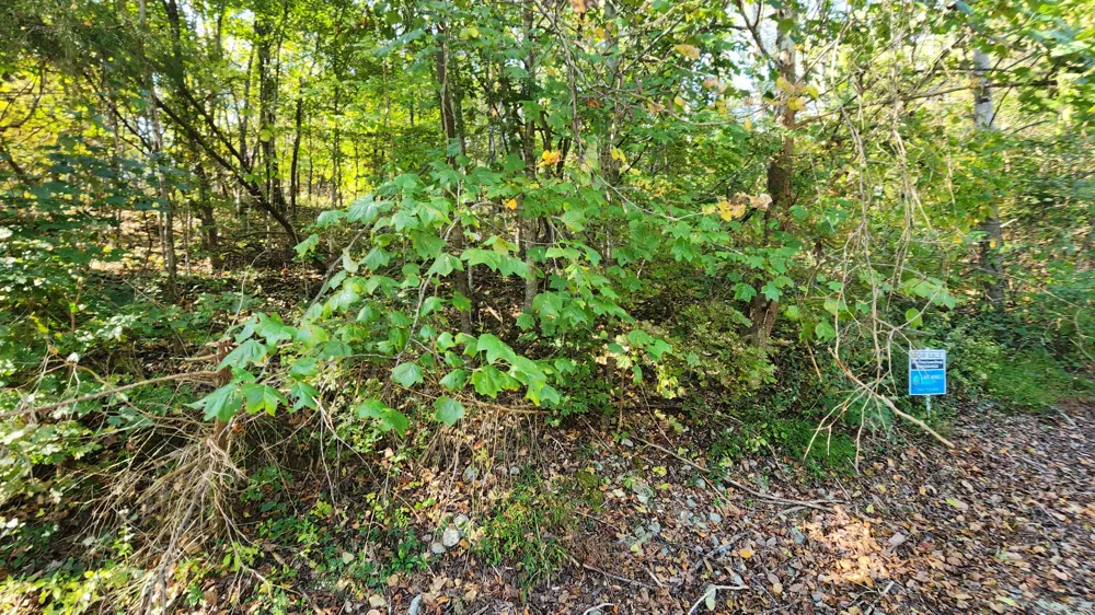 0 Bay View Dr Lancaster, TN 38569