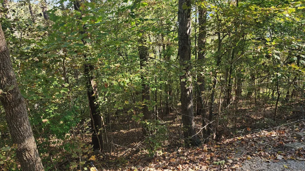 0 Bay View Dr Lancaster, TN 38569