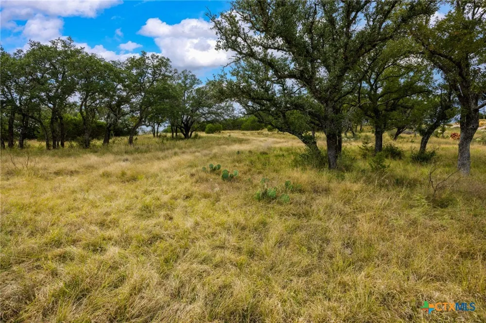 214 Fawn Court San Saba, TX 76877