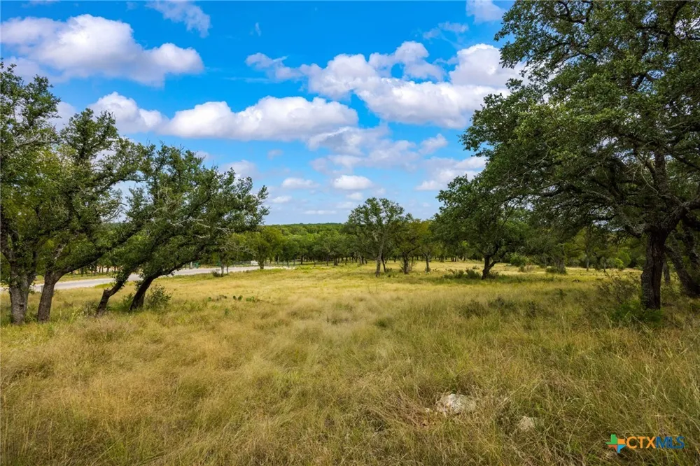 214 Fawn Court San Saba, TX 76877