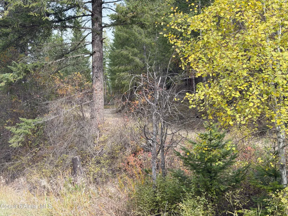 NKA Parker Canyon Road Bonners Ferry, ID 83805