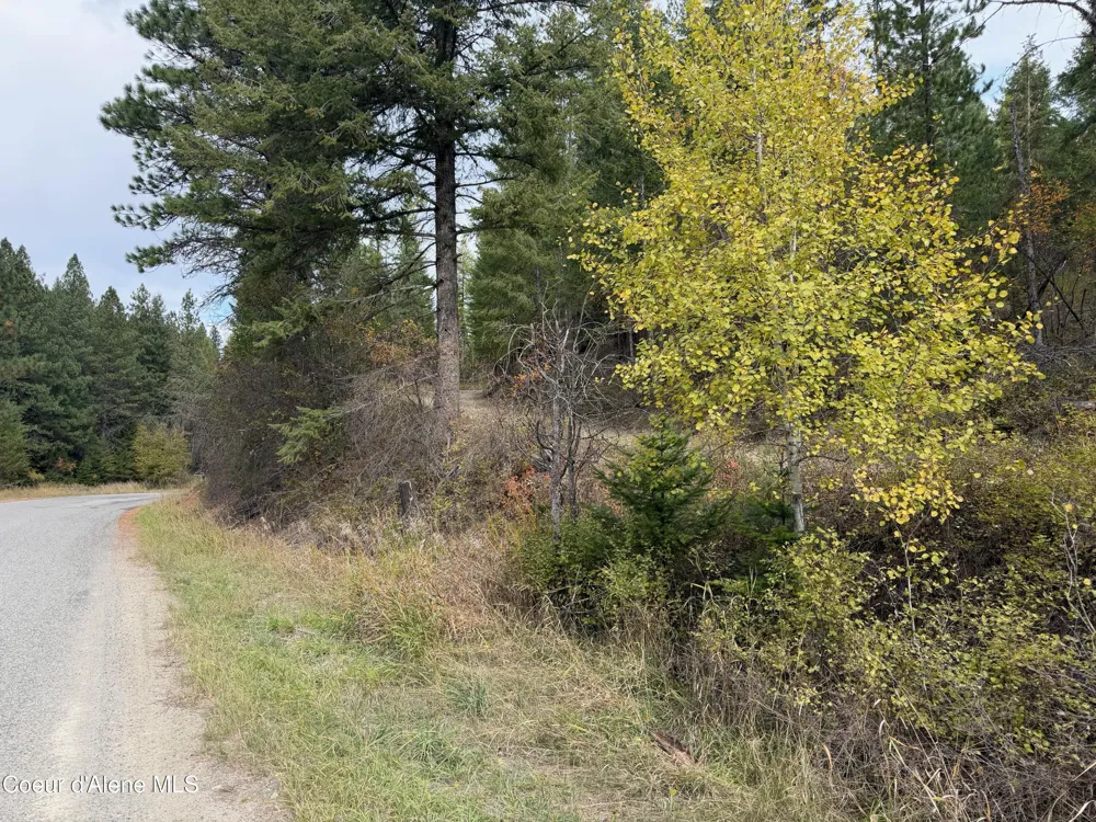 NKA Parker Canyon Road Bonners Ferry, ID 83805
