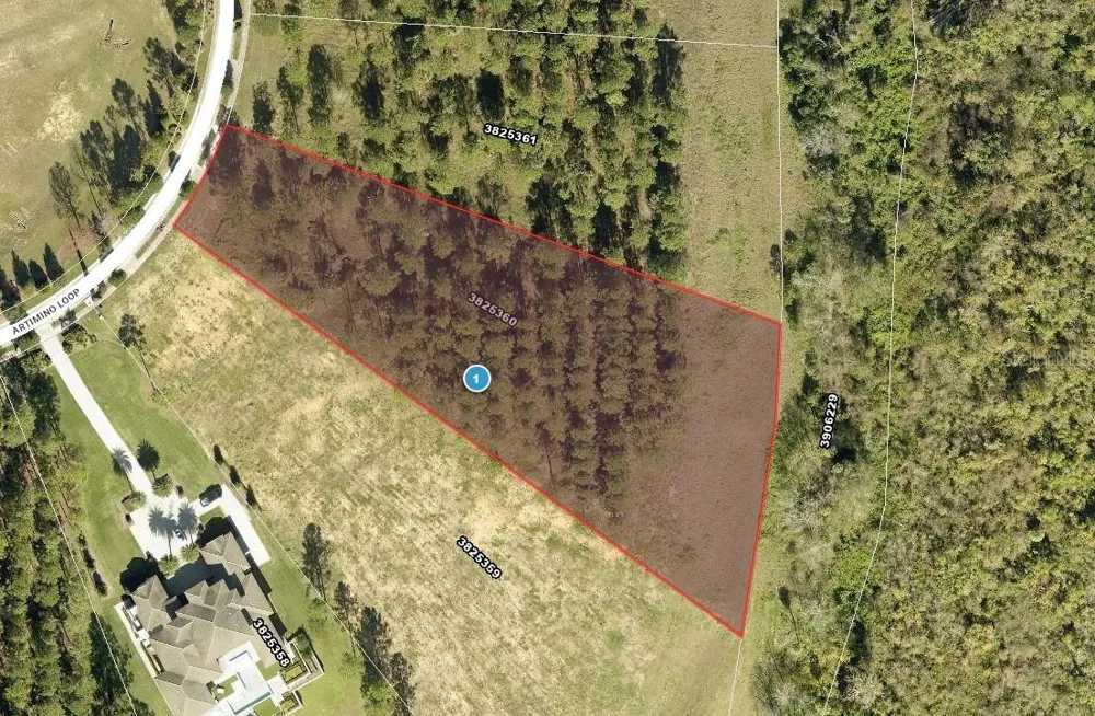 16842 ARTIMINO LOOP Montverde, FL 34756
