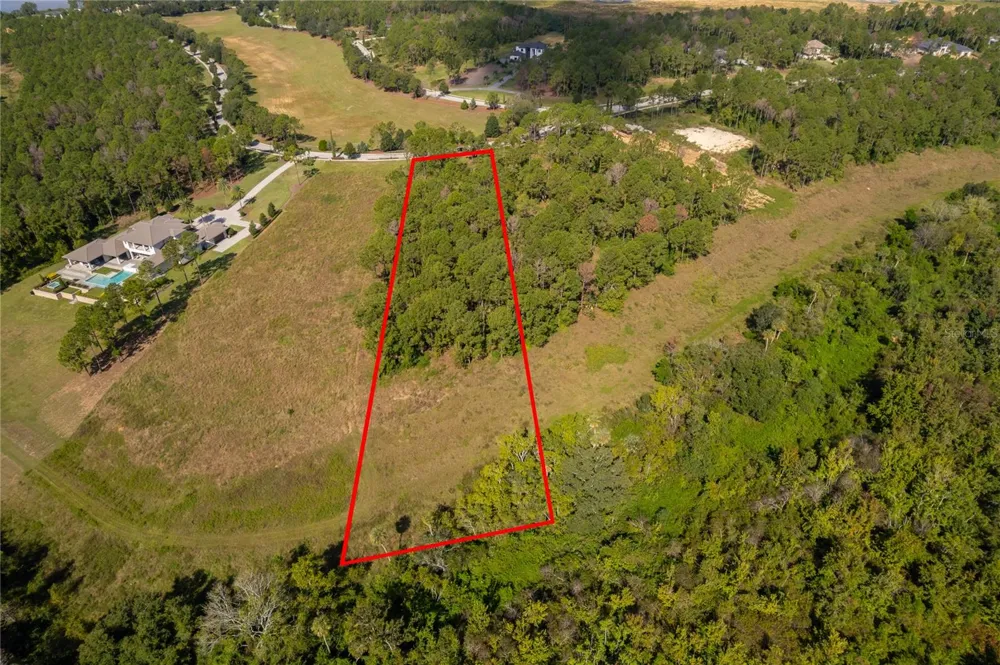 16842 ARTIMINO LOOP Montverde, FL 34756