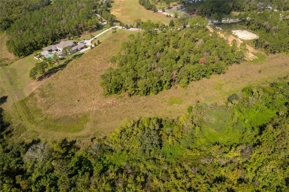 16842 ARTIMINO LOOP Montverde, FL 34756