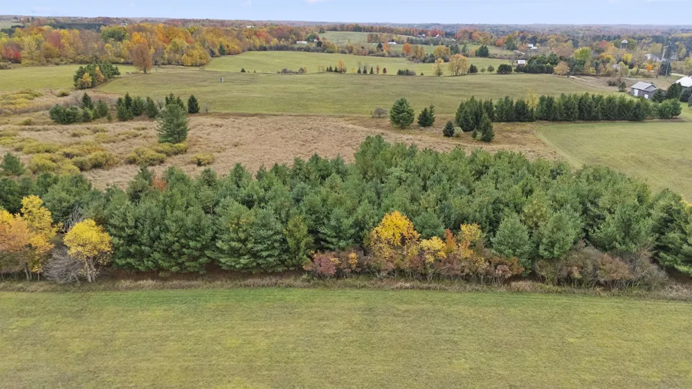 3626 90th Avenue Evart Township, MI 49631