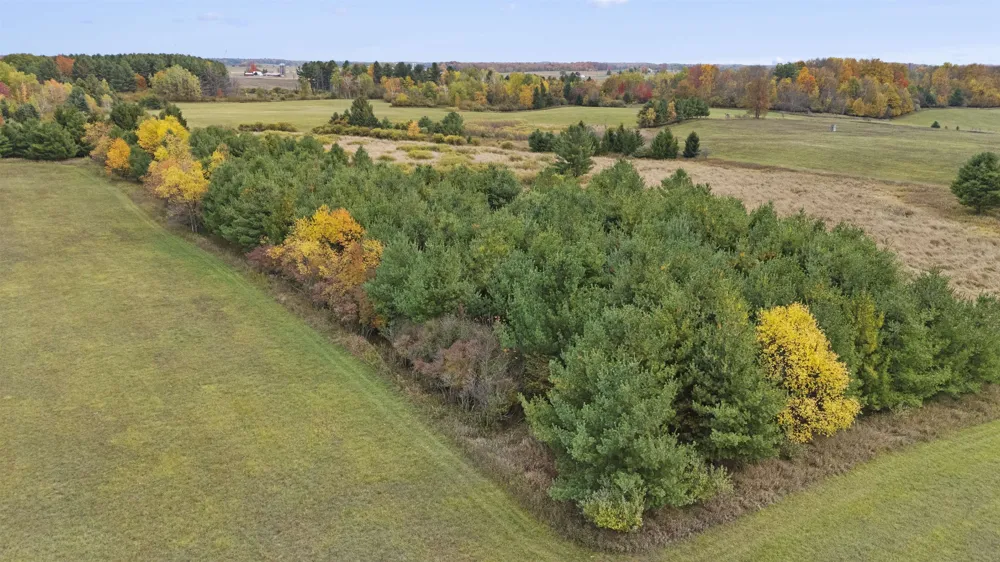 3626 90th Avenue Evart Township, MI 49631