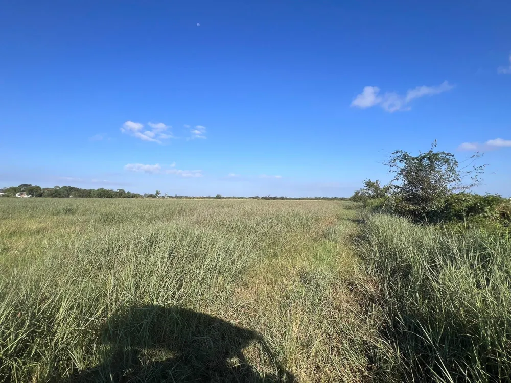 7830 Fm 2977 Road Richmond, TX 77469