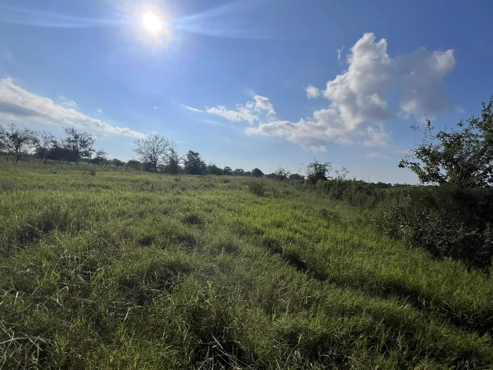 7830 Fm 2977 Road Richmond, TX 77469