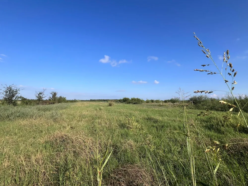 7830 Fm 2977 Road Richmond, TX 77469