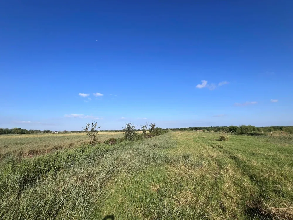 7830 Fm 2977 Road Richmond, TX 77469