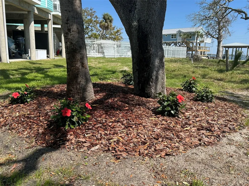 502 MAIN STREET #112 Horseshoe Beach, FL 32648