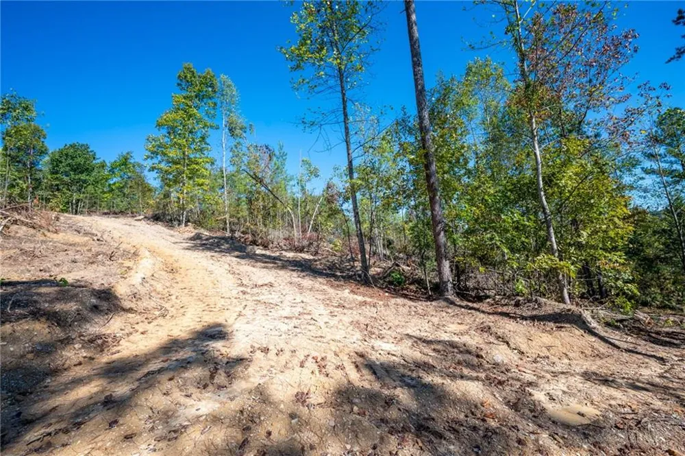 3793 HWY 140 NE Rydal, GA 30171