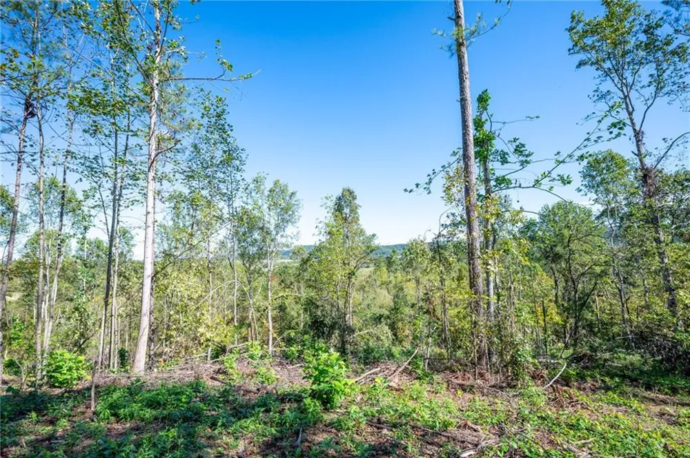 3793 HWY 140 NE Rydal, GA 30171