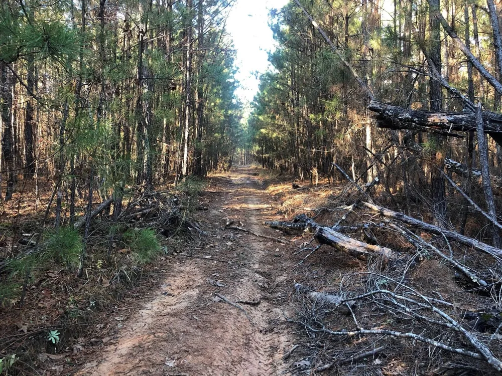 Highway 160 Plain Dealing, LA 71064