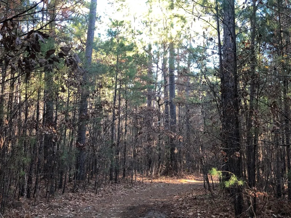 Highway 160 Plain Dealing, LA 71064