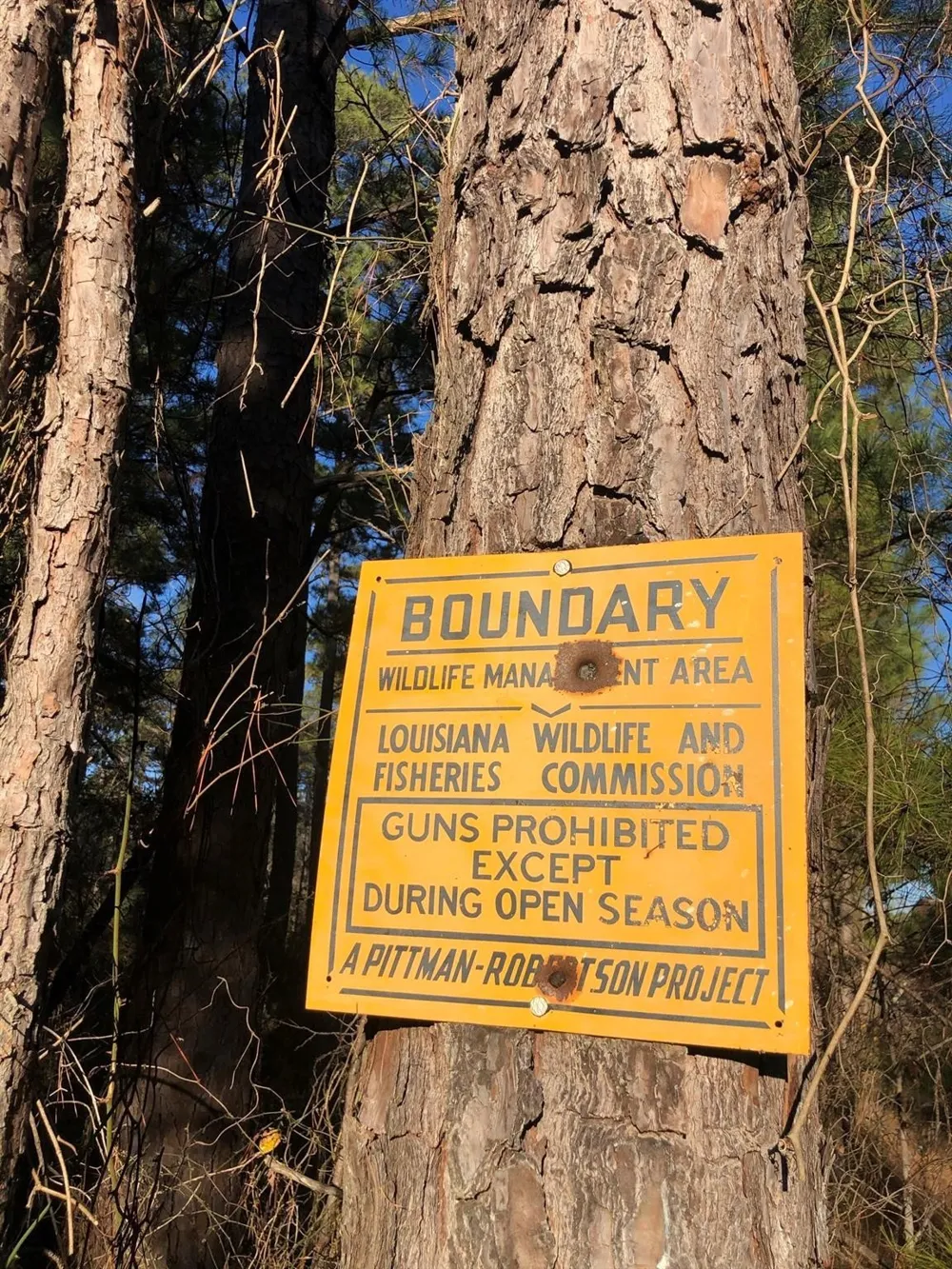 Highway 160 Plain Dealing, LA 71064