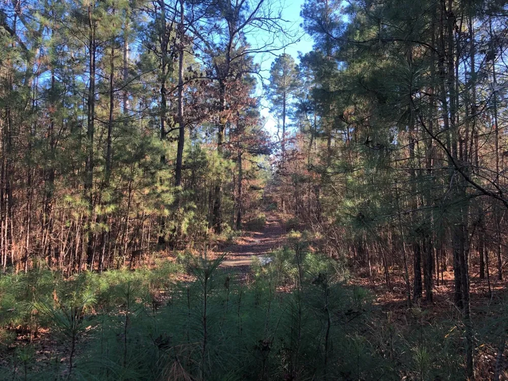 Highway 160 Plain Dealing, LA 71064